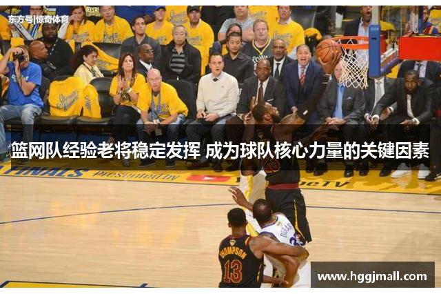 篮网队经验老将稳定发挥 成为球队核心力量的关键因素