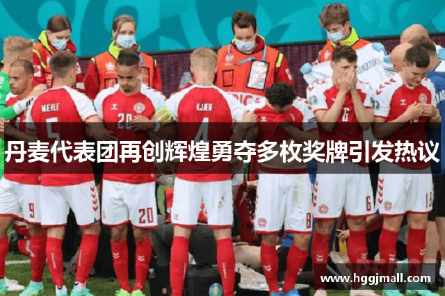 丹麦代表团再创辉煌勇夺多枚奖牌引发热议