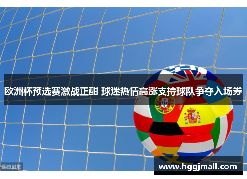欧洲杯预选赛激战正酣 球迷热情高涨支持球队争夺入场券