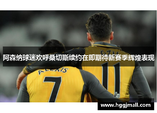 阿森纳球迷欢呼桑切斯续约在即期待新赛季辉煌表现