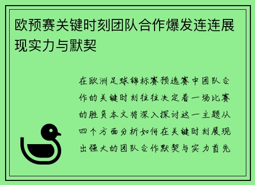 欧预赛关键时刻团队合作爆发连连展现实力与默契