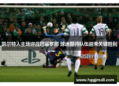 凯尔特人主场迎战巴塞罗那 球迷期待队伍迎来关键胜利